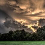 3d开奖2025092期最新开奖结果查询与号码分析 06qp9elq