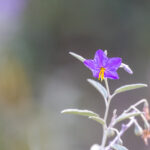 19025期开奖结果揭晓:幸运号码震撼公布 45imie