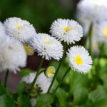 19033期大乐透开奖结果揭晓,幸运号码震撼公布 cwbx8rvyj