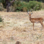 19039期开奖结果公布,幸运号码揭晓 dihg35vqp