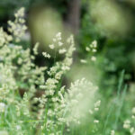 19038期开奖结果揭晓:幸运号码正式公布 dv03xdsm