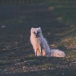 3d开奖196期最新结果公布与中奖号码查询 e0ub4u6