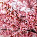 3d开奖2025005期最新开奖结果查询与号码公布 fus2ms6sd