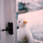 19046期体彩开奖结果最新公布查询 jwnhte