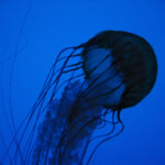 19030期彩票开奖时间及结果查询指南 oxt17