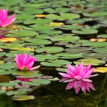 19043期足彩开奖结果揭晓,大奖花落谁家? ql10w5h