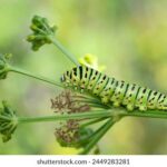 19023期开奖结果最新公布,快来看看你中奖了吗? zwqd75